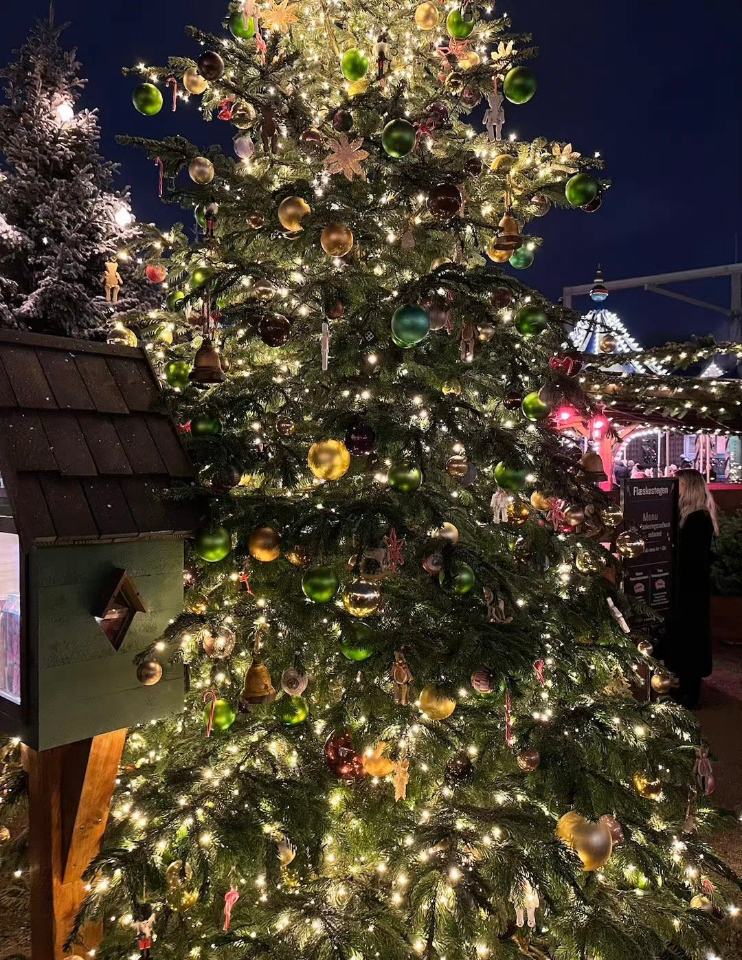 LED Christmas Lights: Tips, Tricks, and Ideas